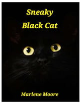 Sneaky Black Cat piano sheet music cover